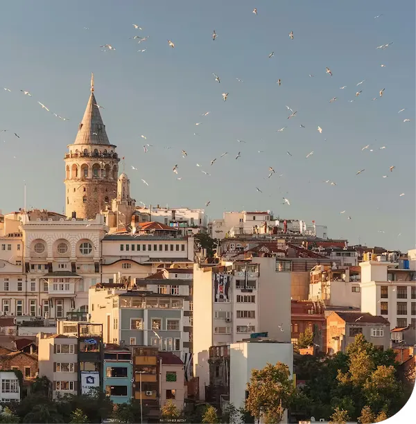 galata resim